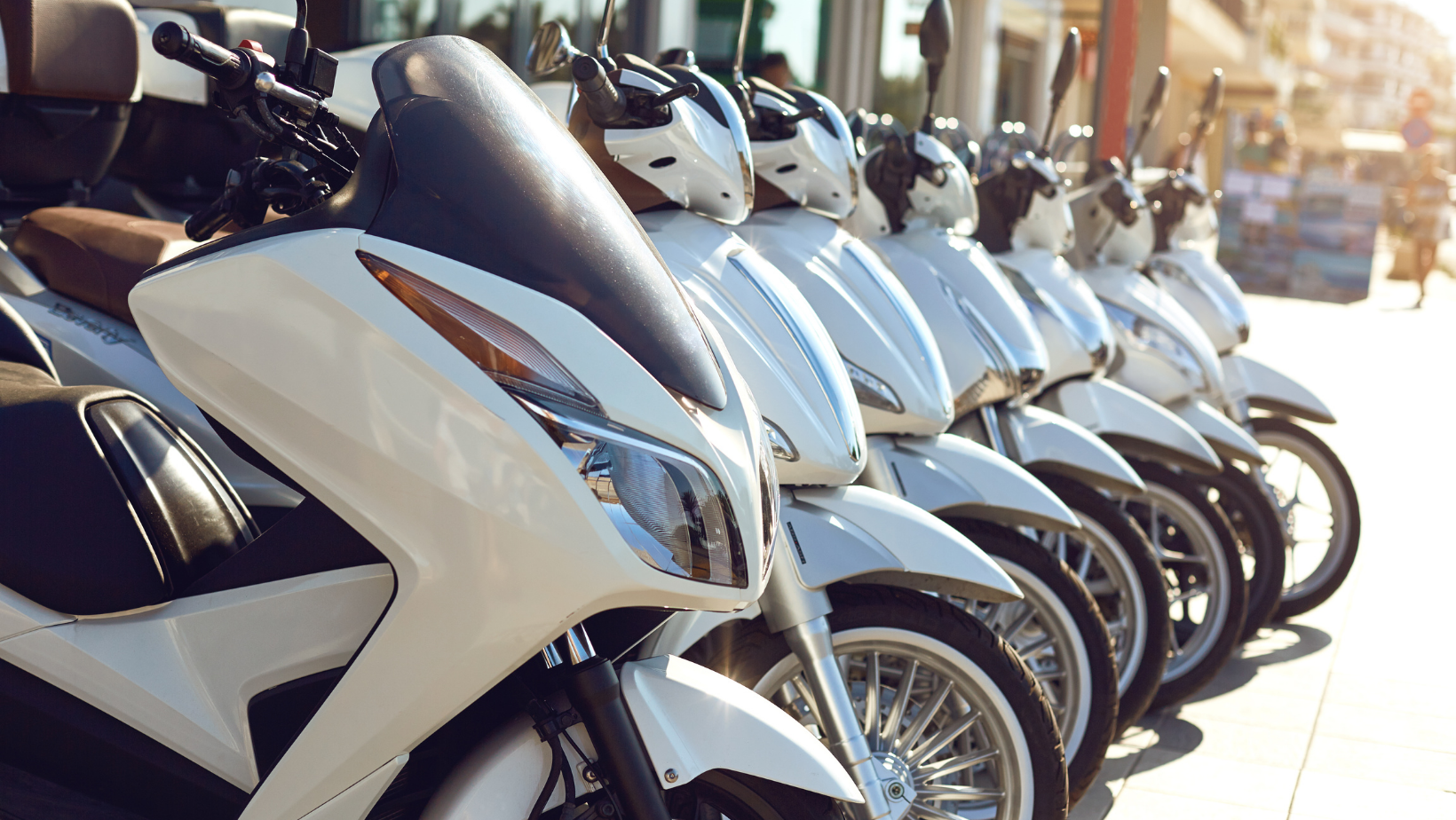 Bike Rentals coupons and offers