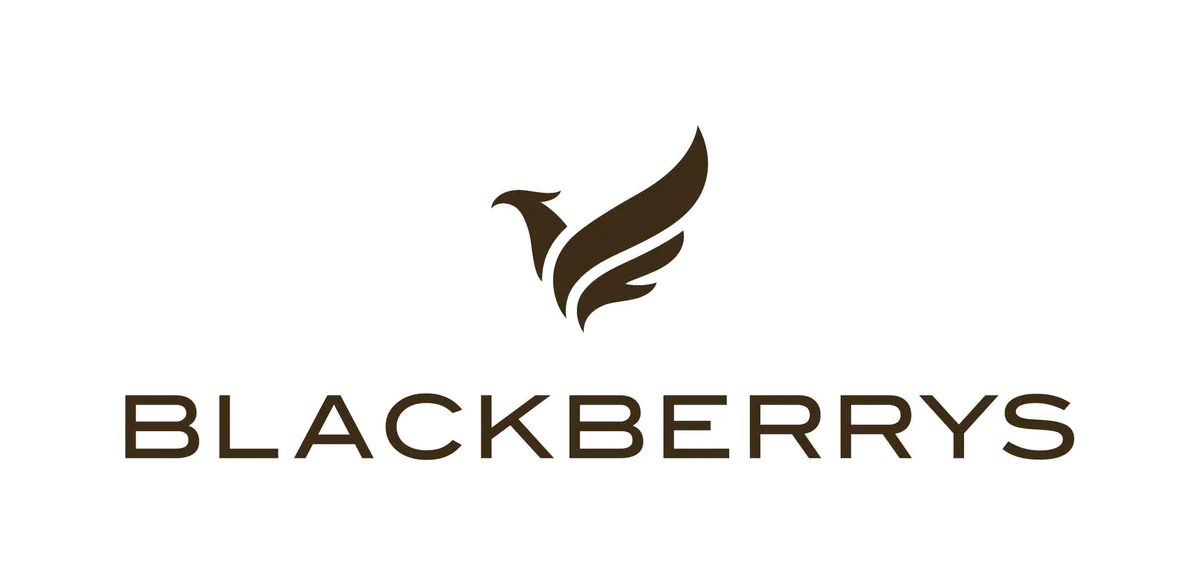 Blackberrys coupons and offers