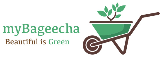 MyBageecha  coupons and offers
