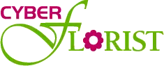 Cyber Florist coupons Cyber Florist