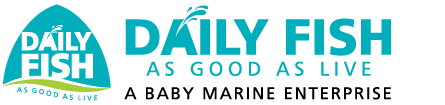 Daily Fish coupons and offers