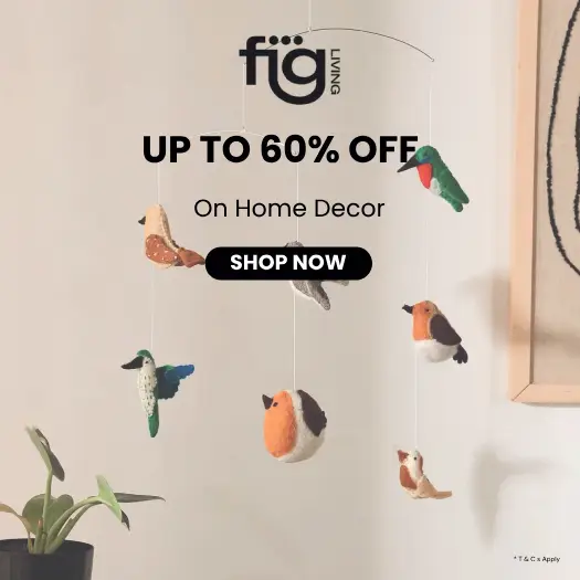 Fig Living Coupon Codes: Stylish Furniture at Great Prices