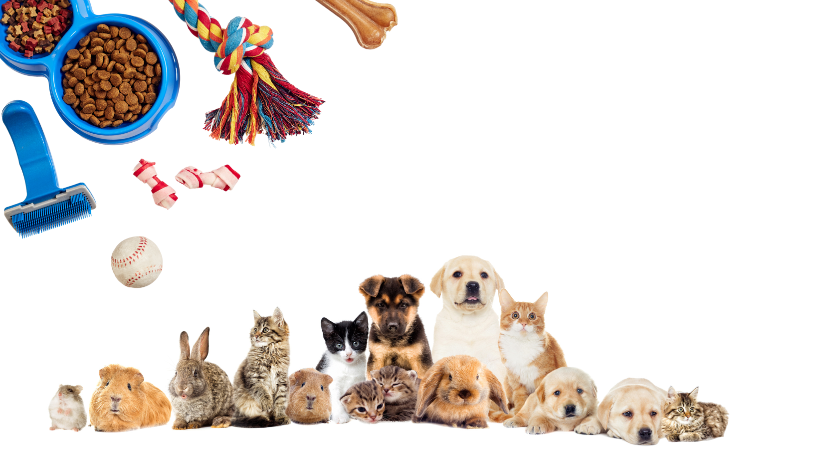 Petcare coupons and offers