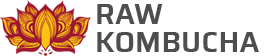 Raw Kombucha
