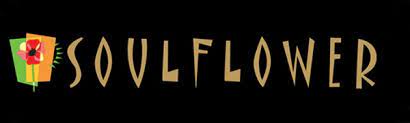 Soulflower  coupons and offers